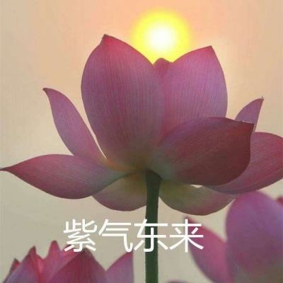 蜀山ol破解版下载